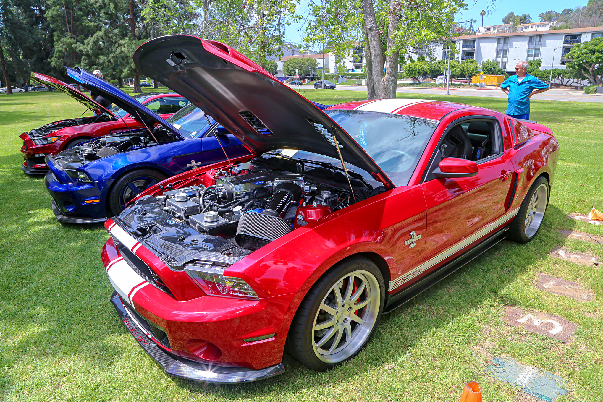 Mustangs In The Park_Stephen Russo 4