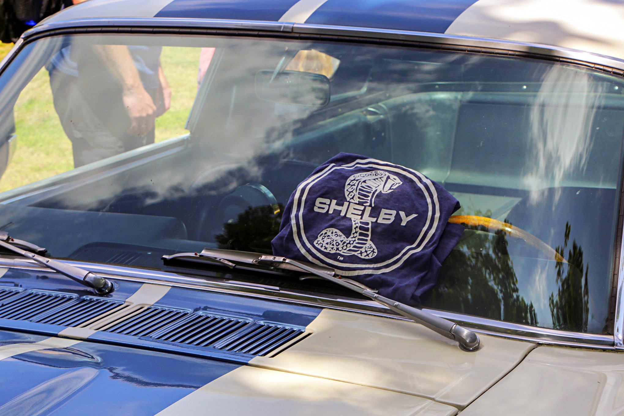 Mustangs In The Park_Stephen Russo 40