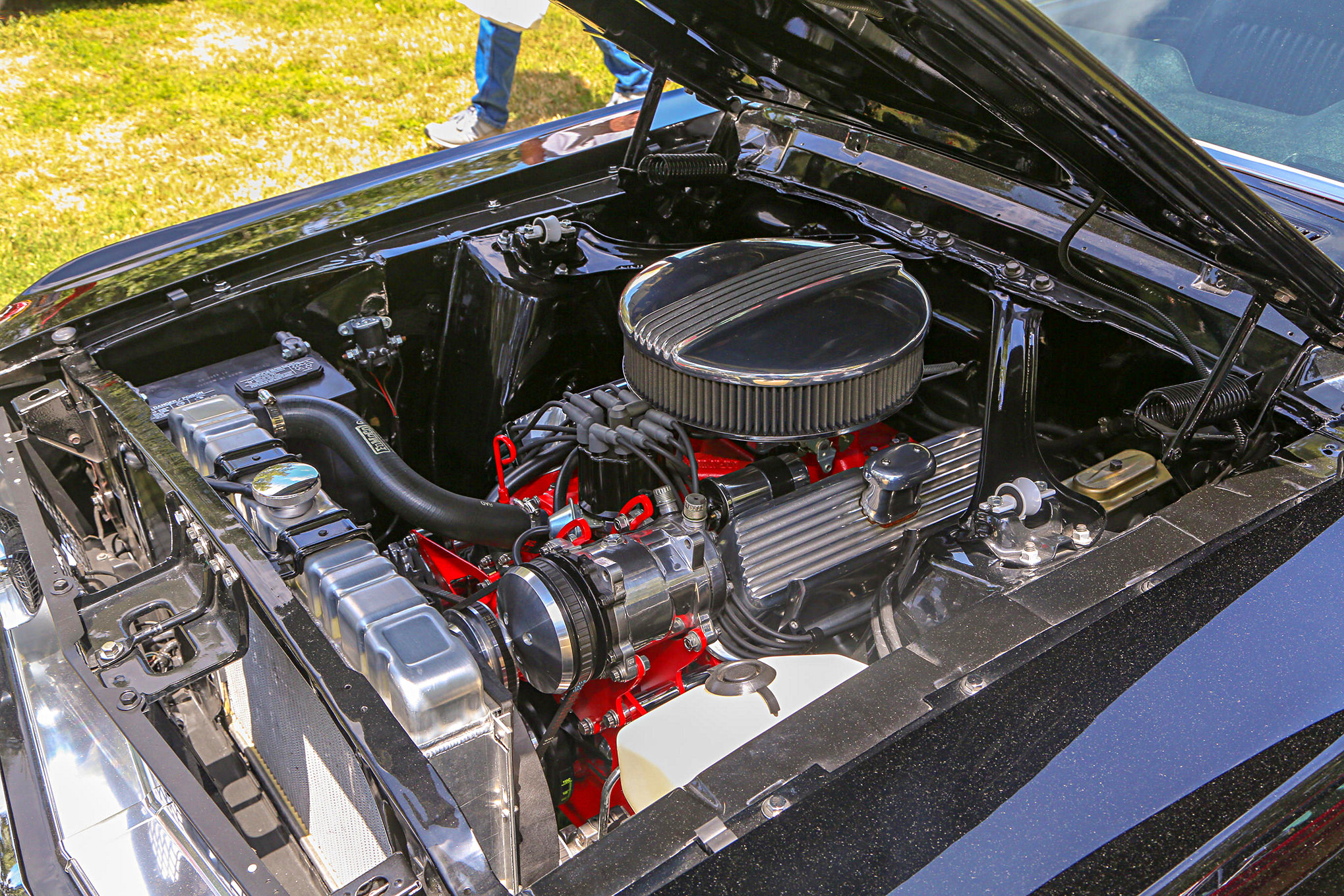 Mustangs In The Park_Stephen Russo 49