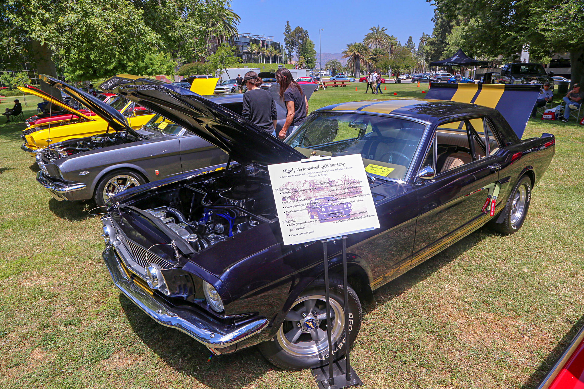 Mustangs In The Park_Stephen Russo 52
