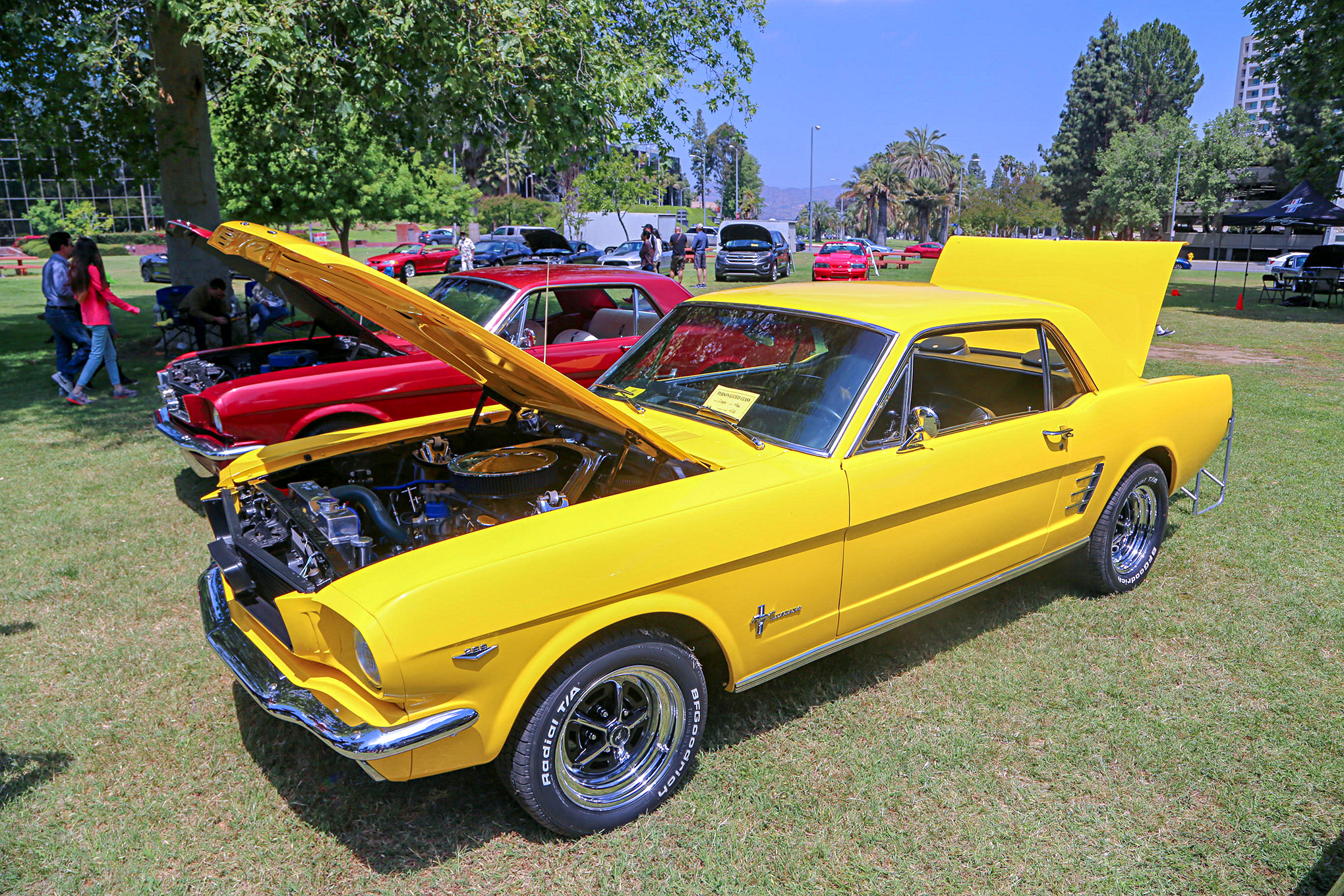 Mustangs In The Park_Stephen Russo 54