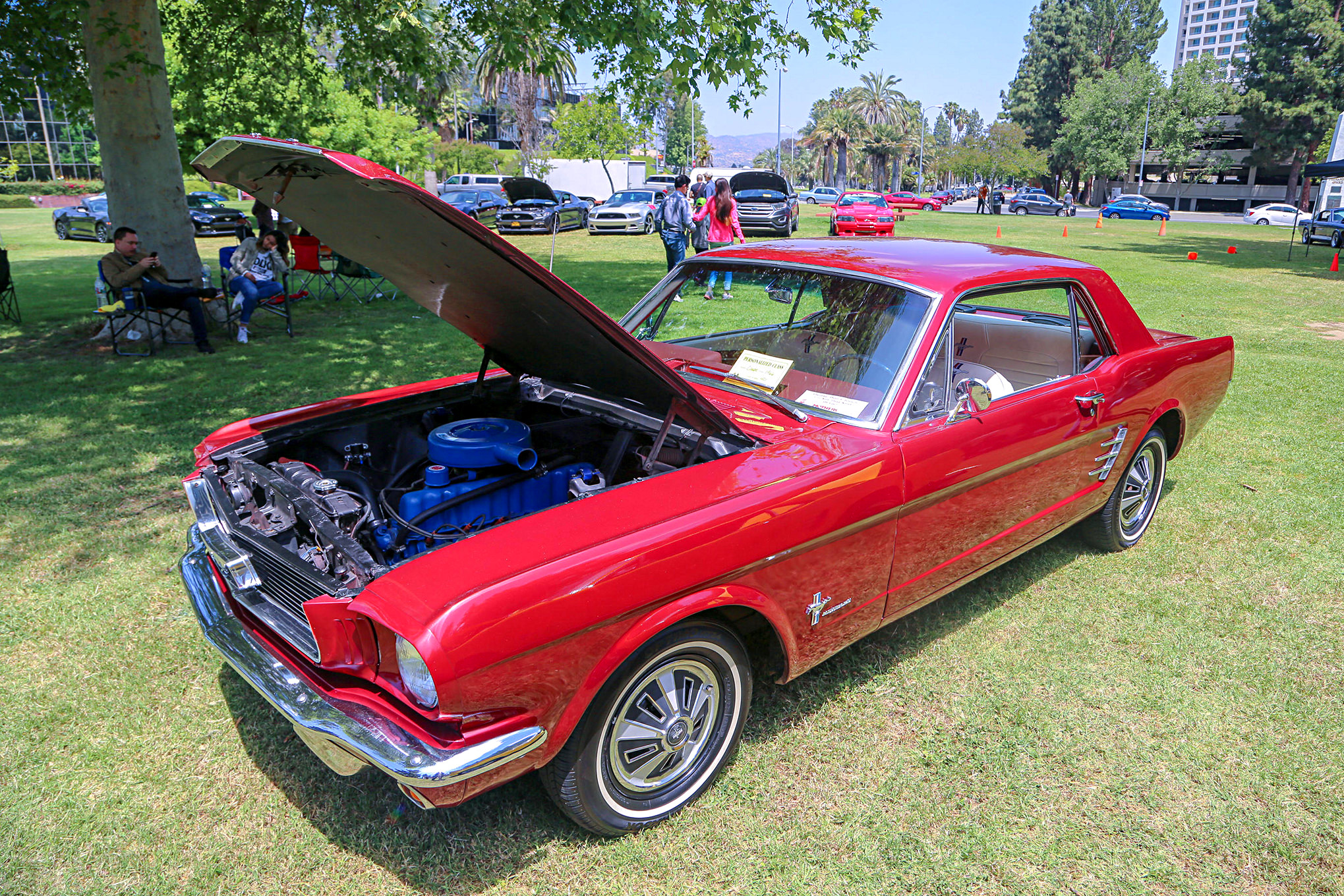 Mustangs In The Park_Stephen Russo 55