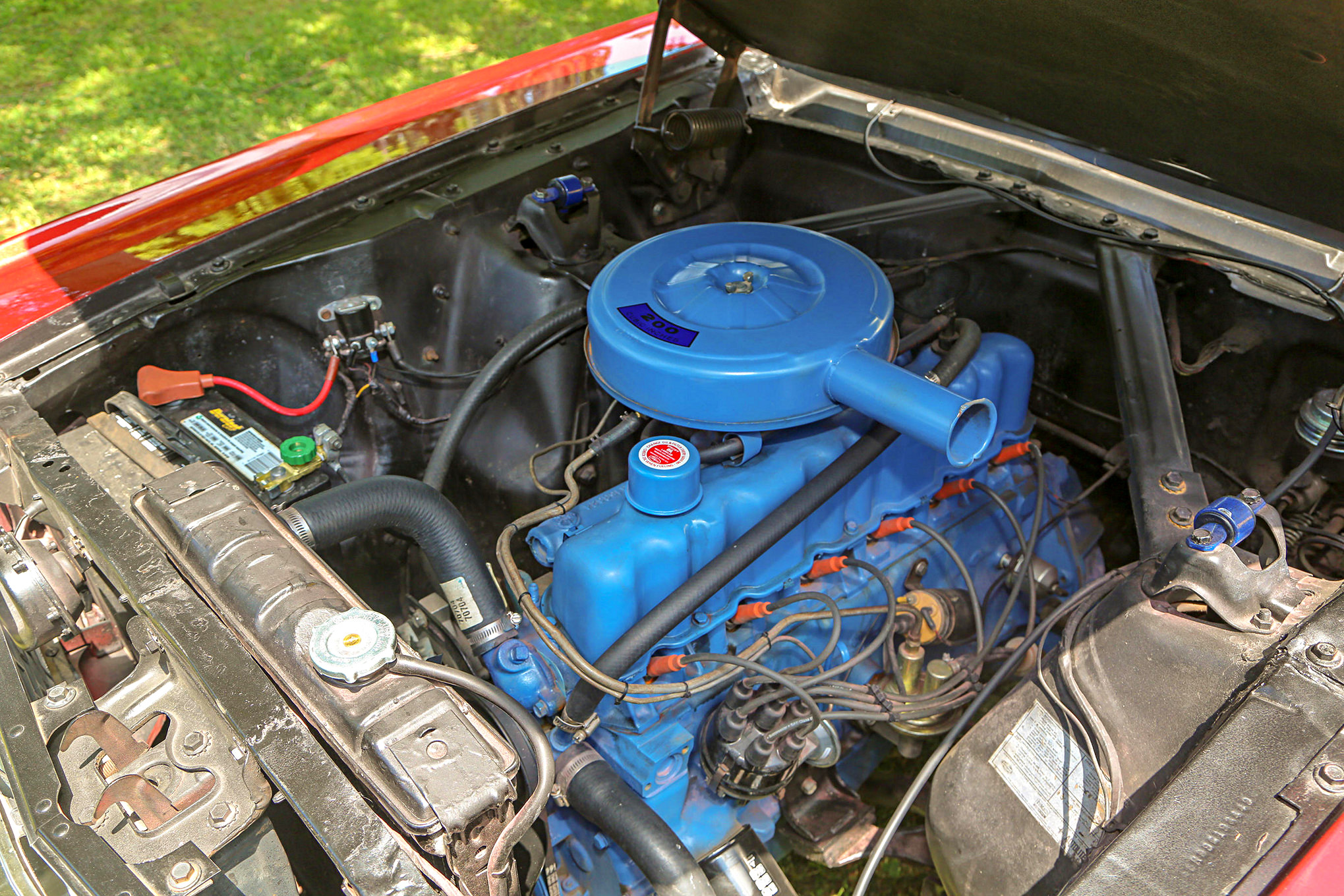 Mustangs In The Park_Stephen Russo 56