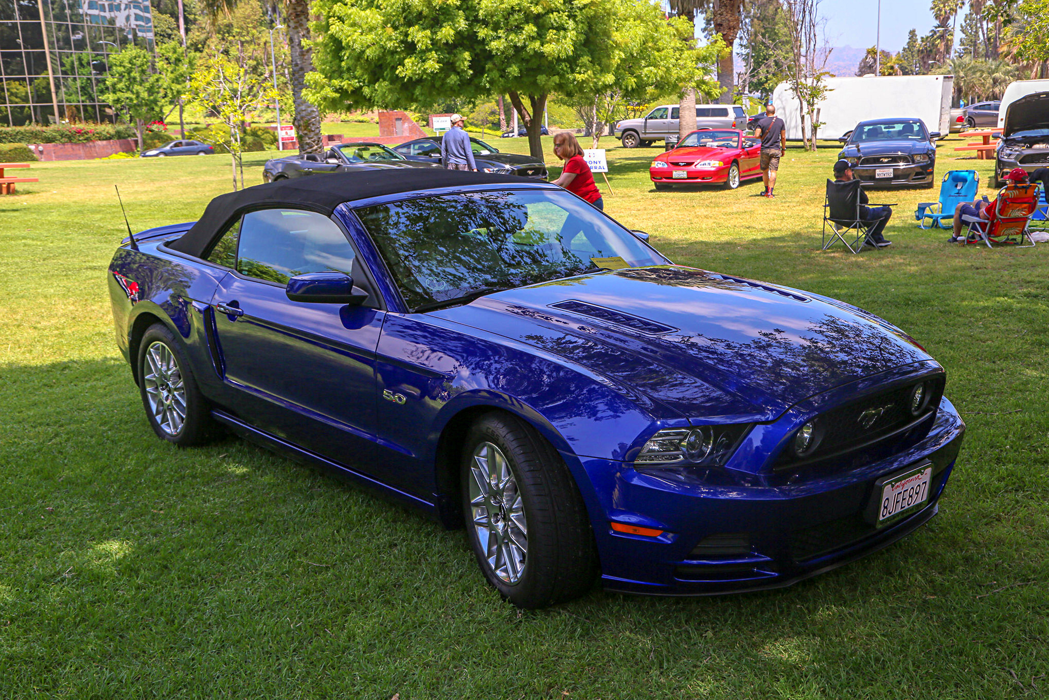 Mustangs In The Park_Stephen Russo 65