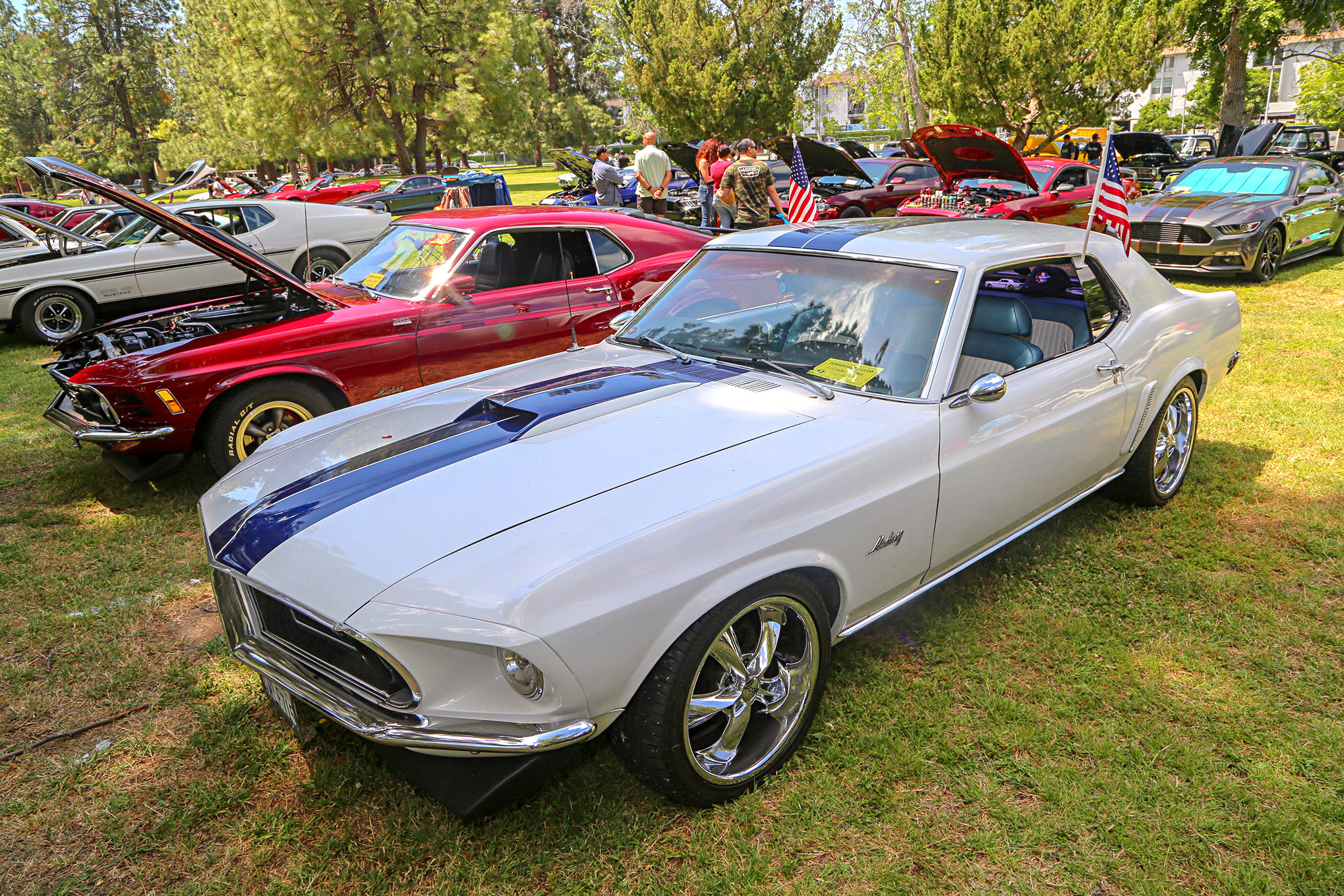 Mustangs In The Park_Stephen Russo 68
