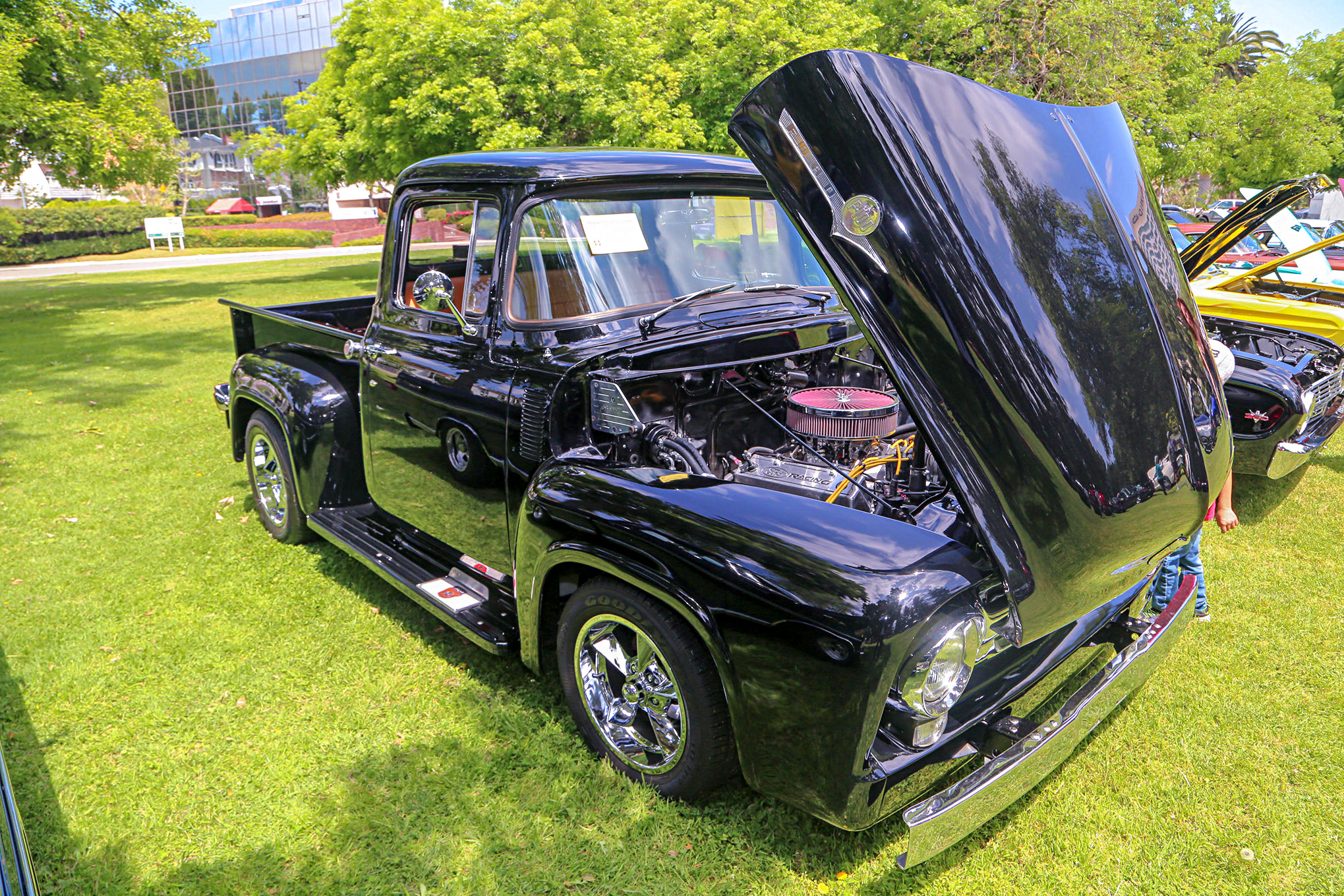 Mustangs In The Park_Stephen Russo 7