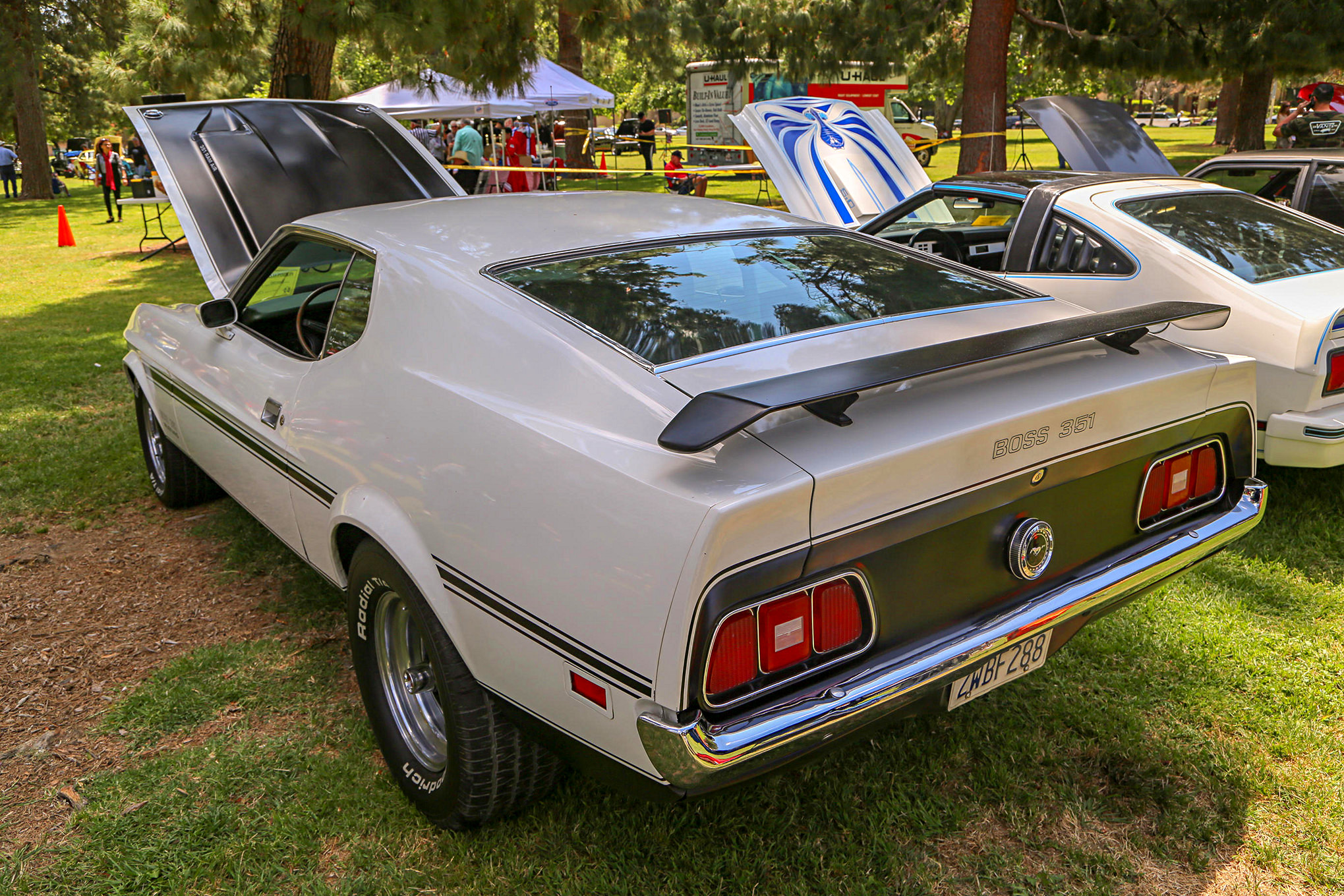 Mustangs In The Park_Stephen Russo 75