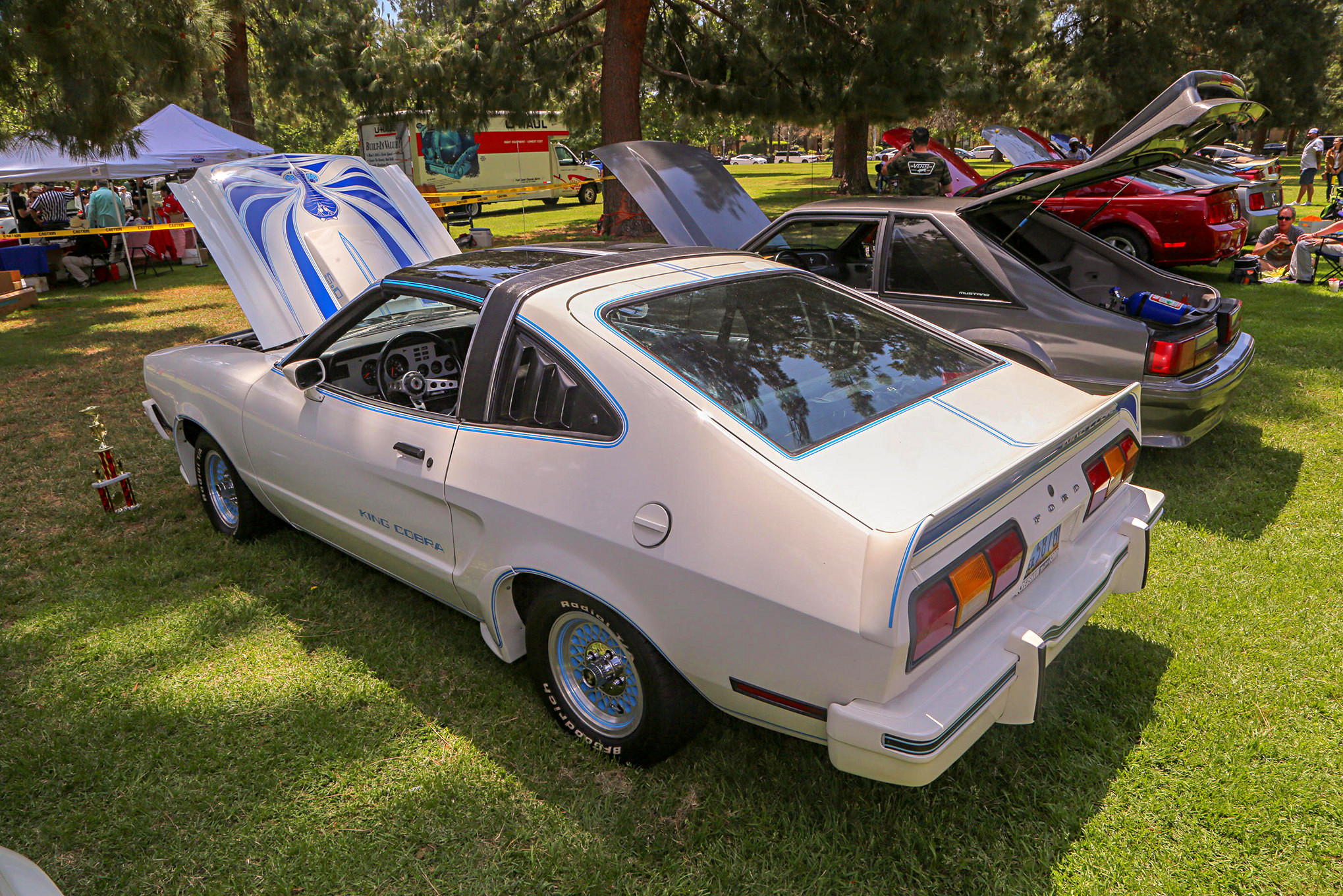 Mustangs In The Park_Stephen Russo 76