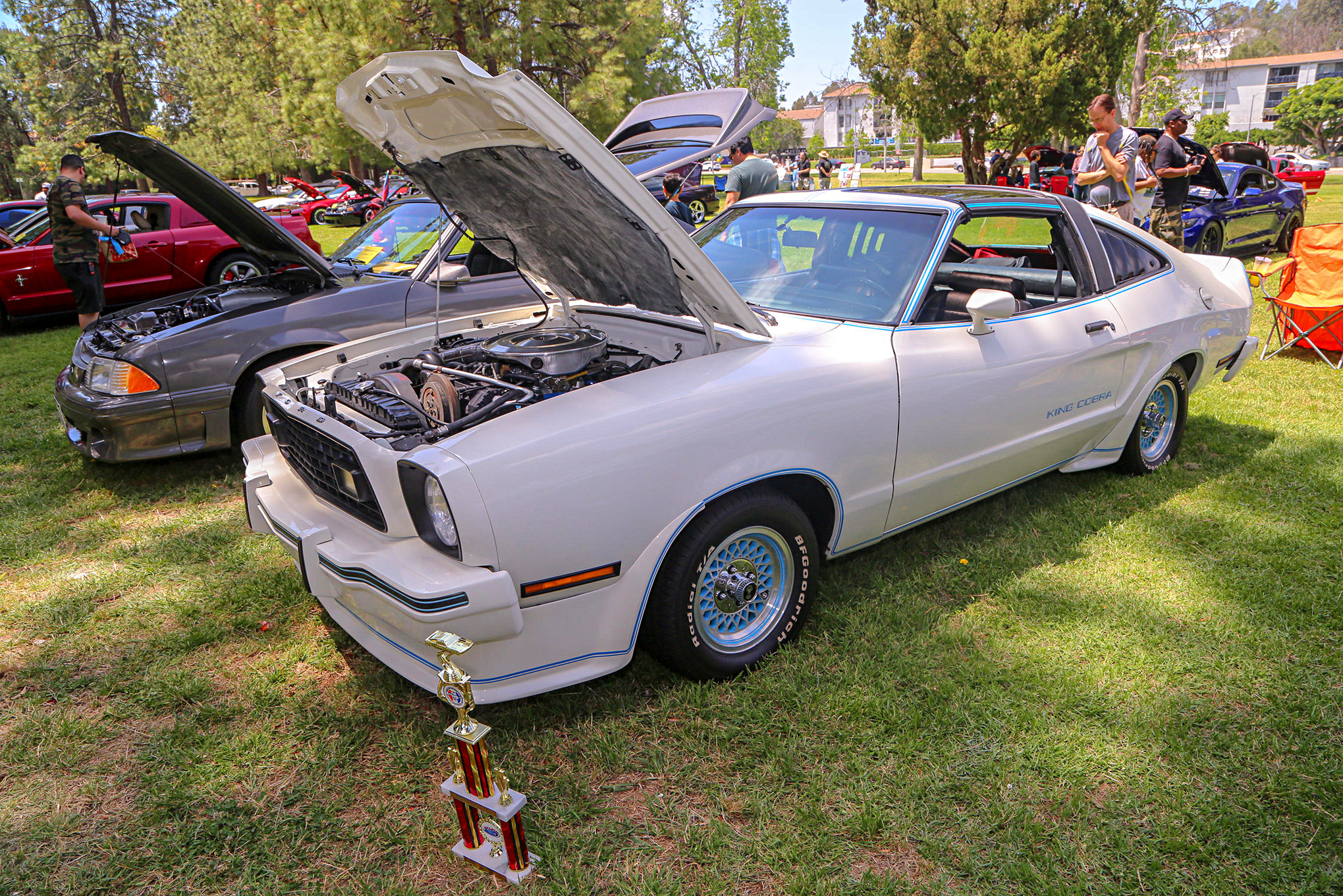 Mustangs In The Park_Stephen Russo 78