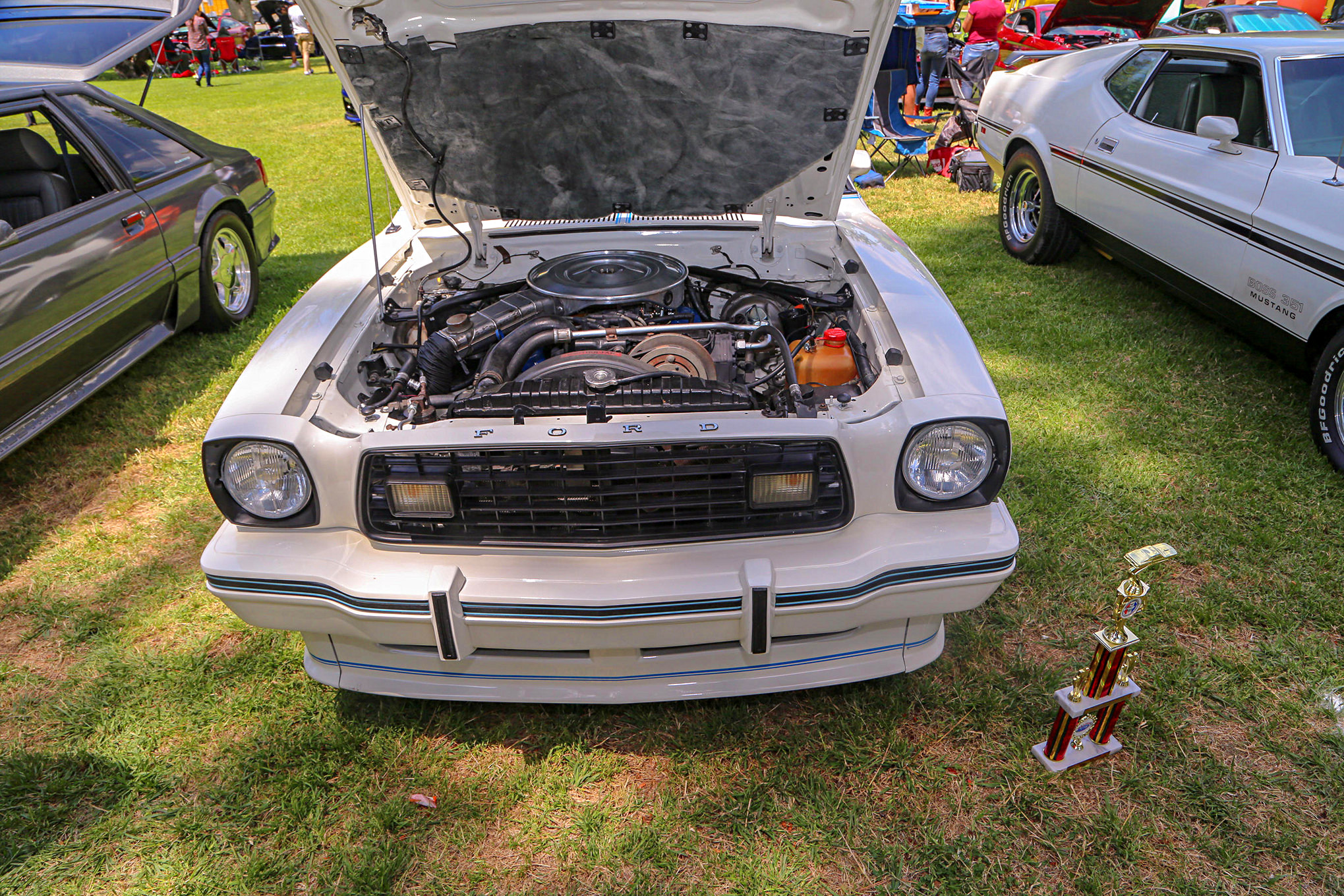 Mustangs In The Park_Stephen Russo 79