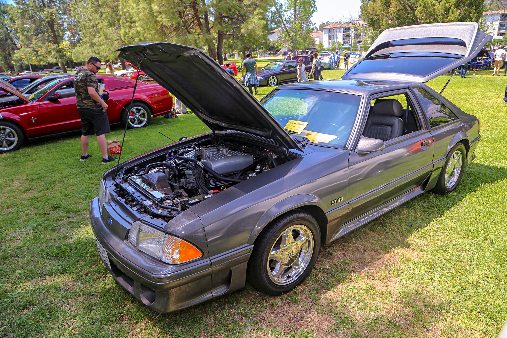 Mustangs In The Park_Stephen Russo 80