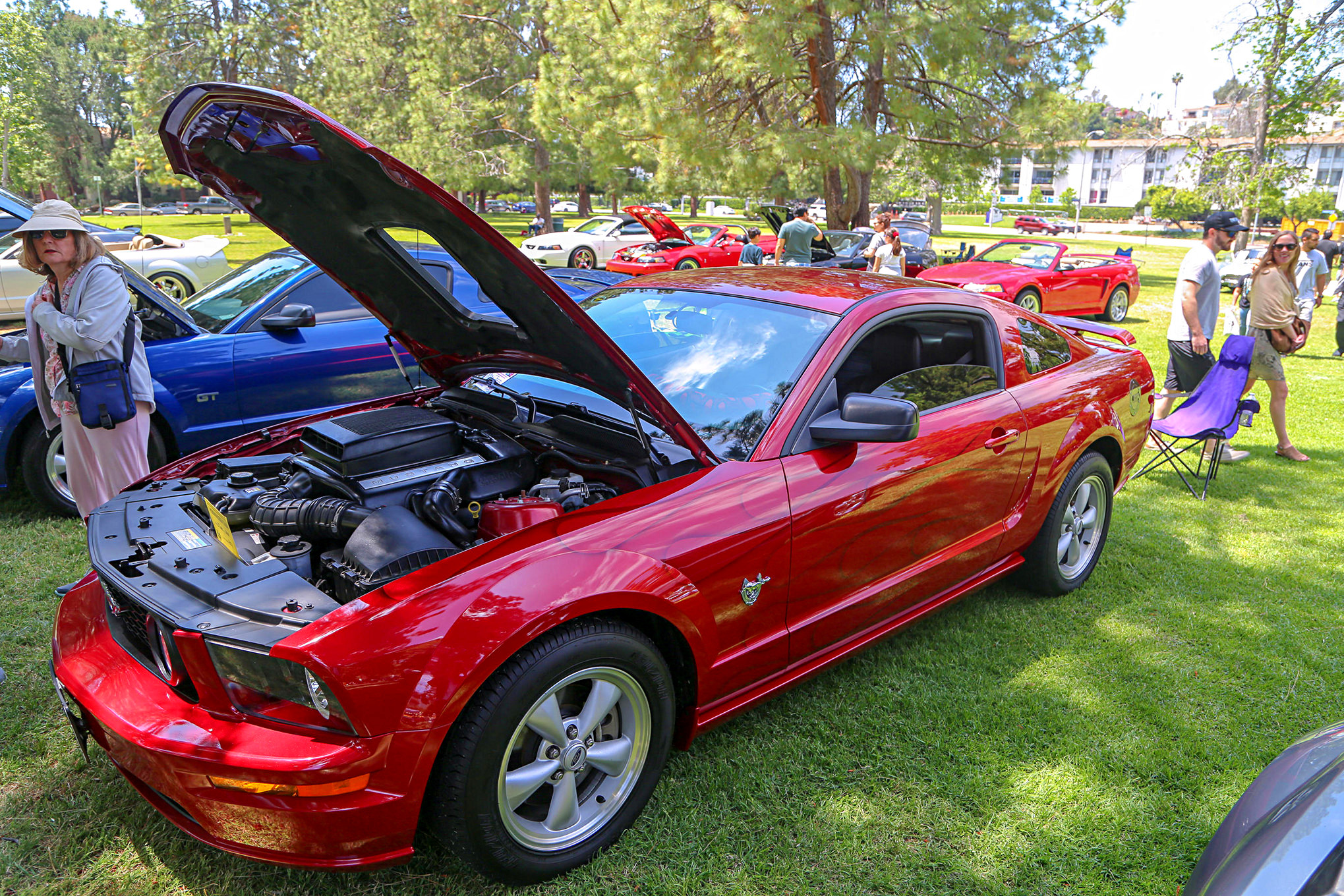 Mustangs In The Park_Stephen Russo 83