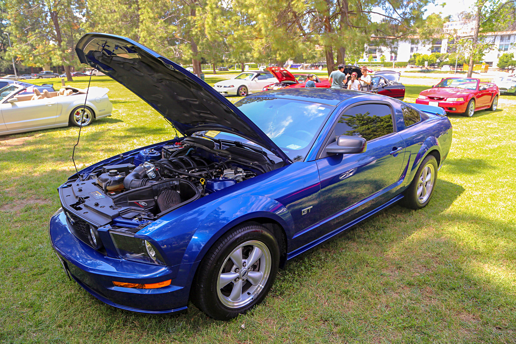 Mustangs In The Park_Stephen Russo 84
