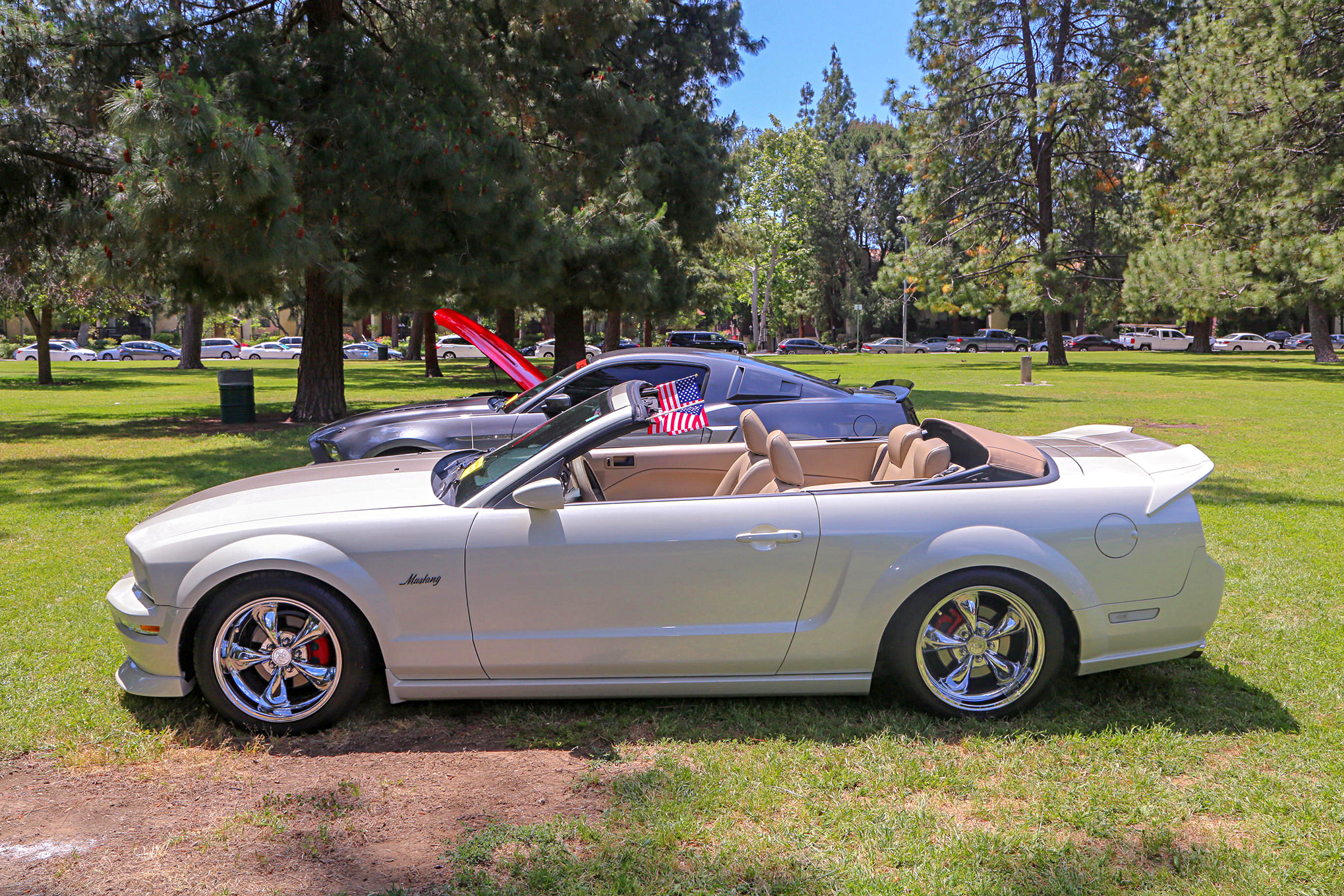 Mustangs In The Park_Stephen Russo 85