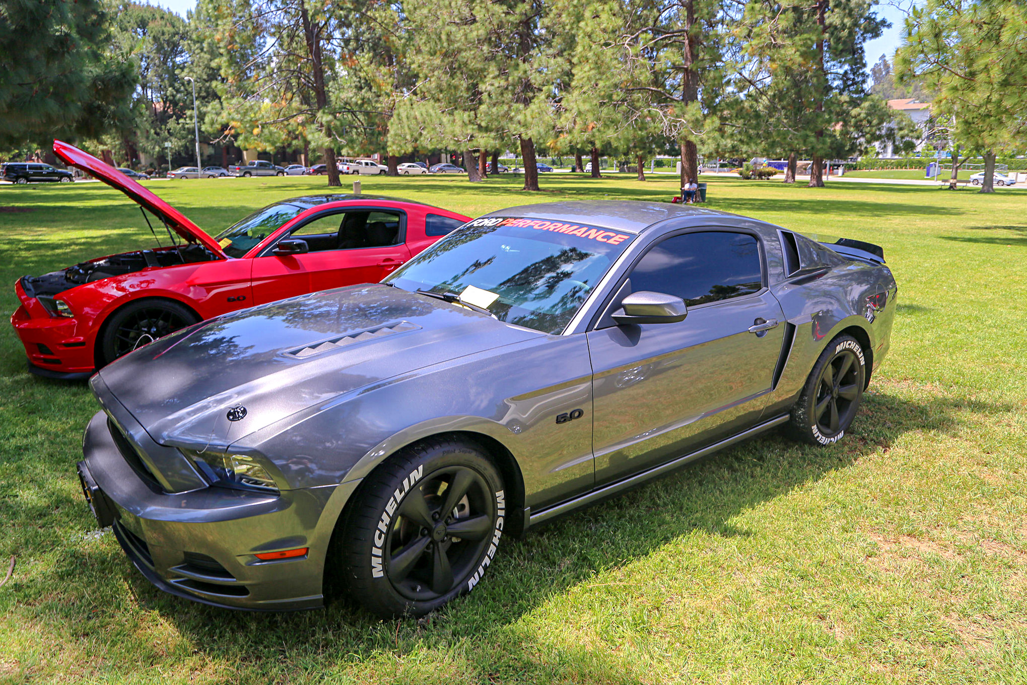 Mustangs In The Park_Stephen Russo 86