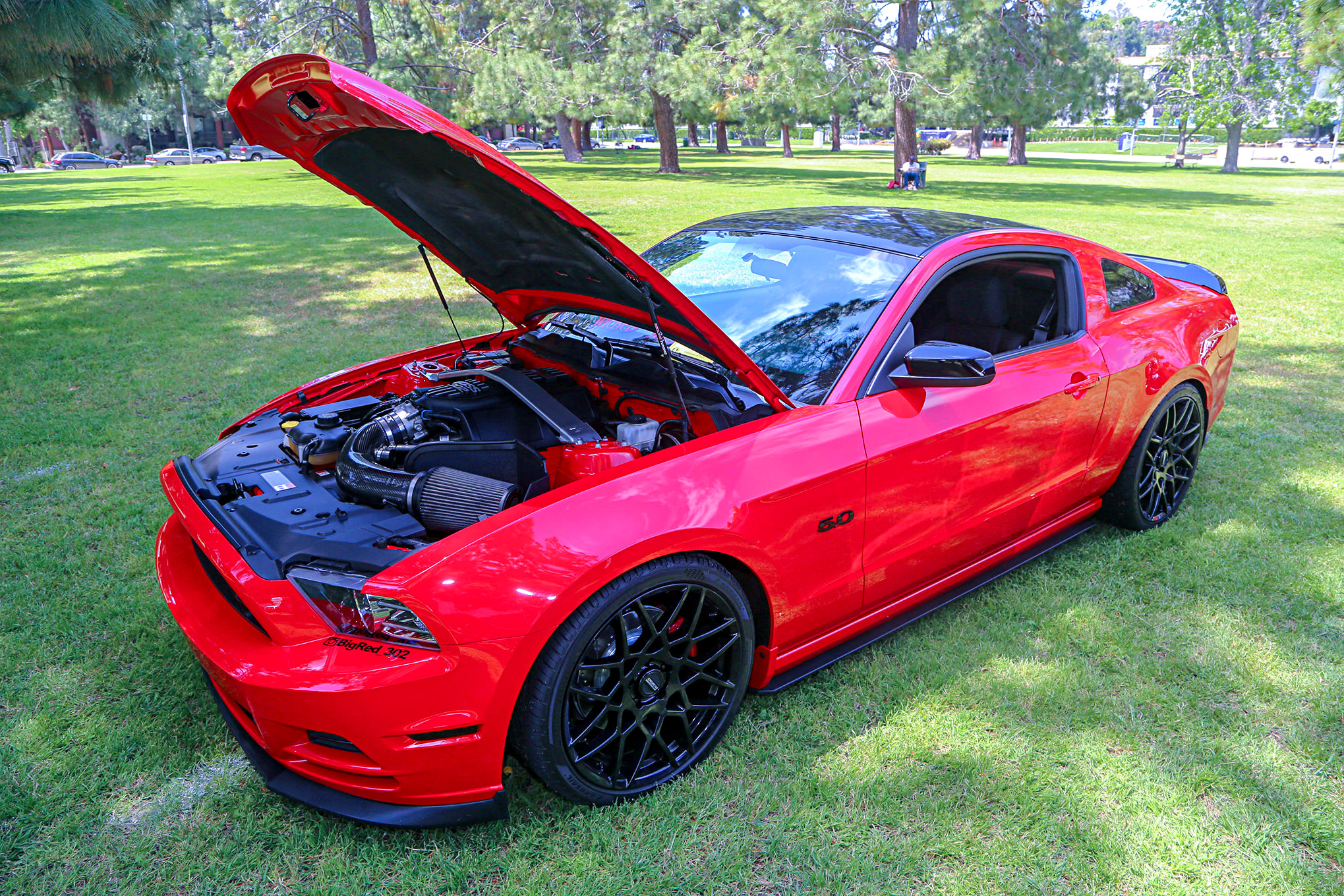 Mustangs In The Park_Stephen Russo 87