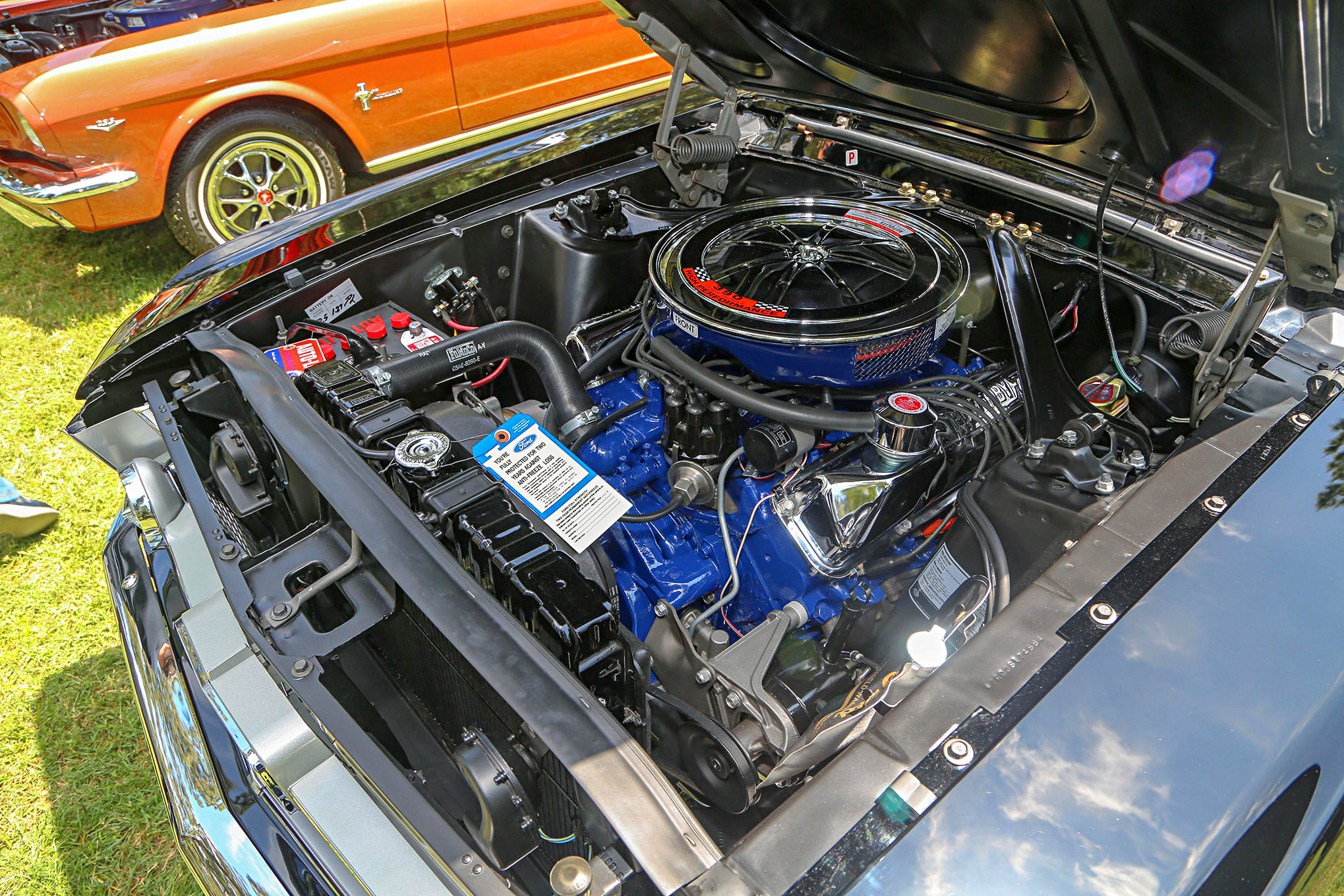Mustangs In The Park_Stephen Russo 91