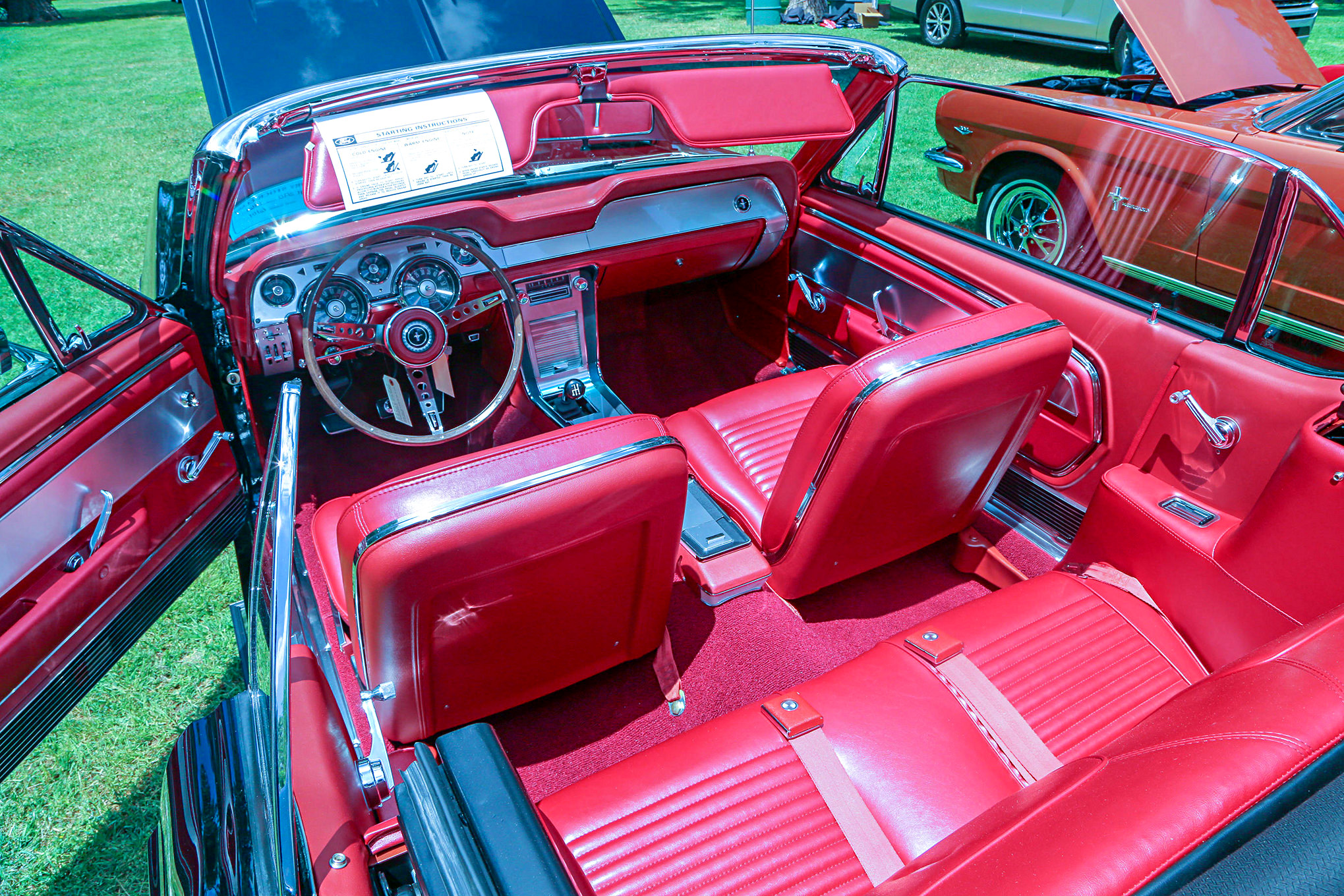 Mustangs In The Park_Stephen Russo 93