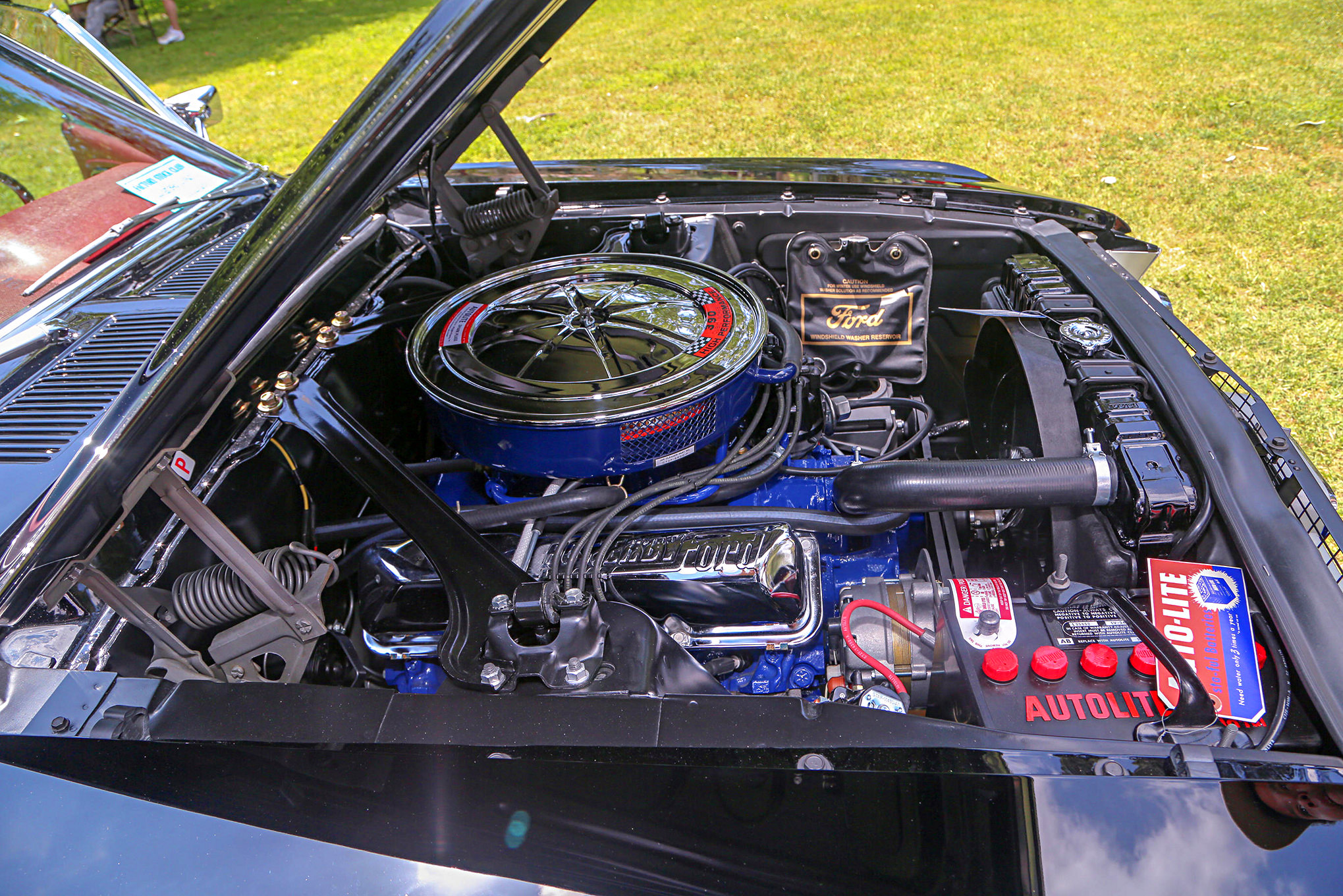 Mustangs In The Park_Stephen Russo 97