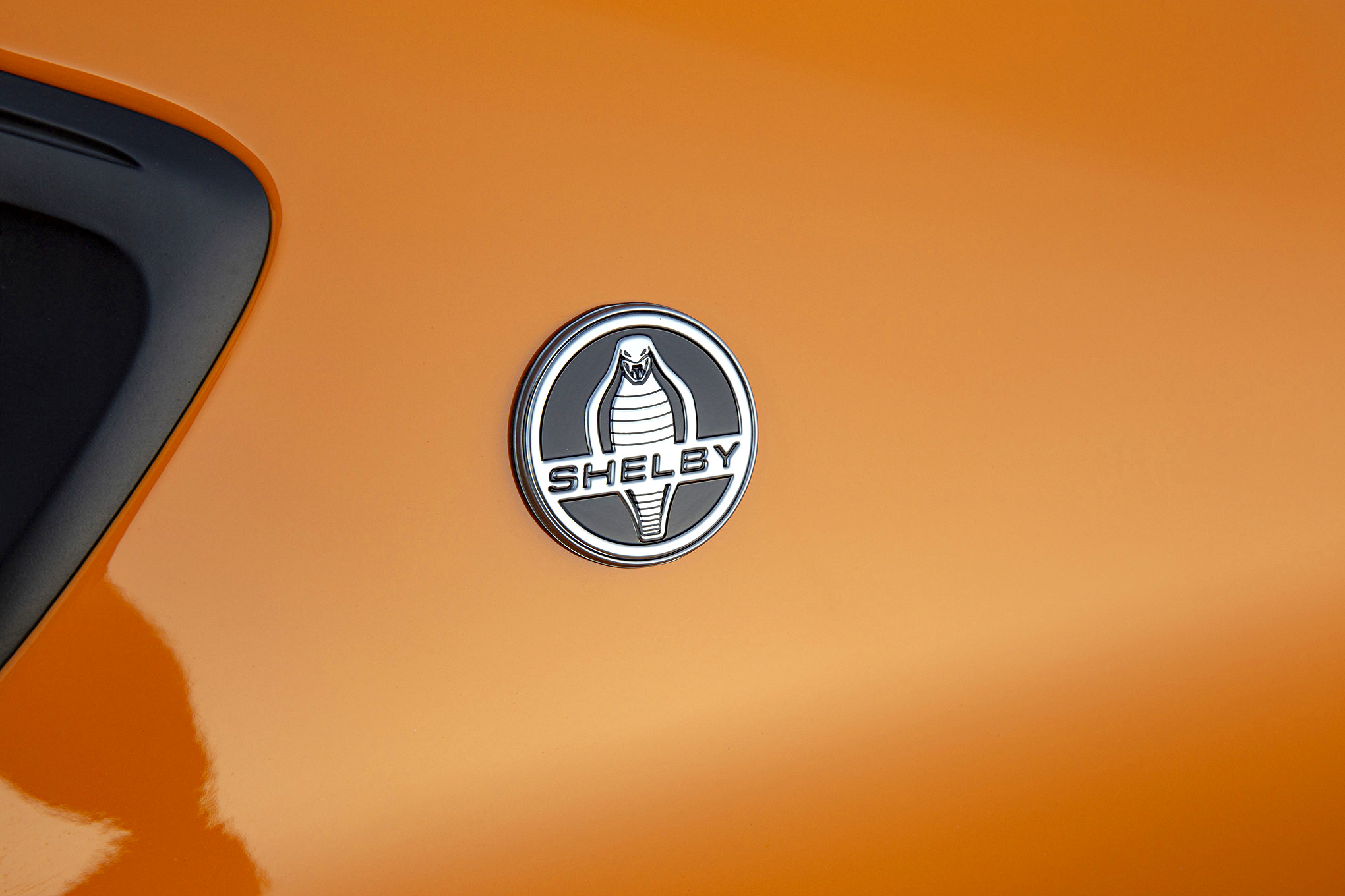 SIXT Shelby GT S Rental Car_Gallery_0752 1