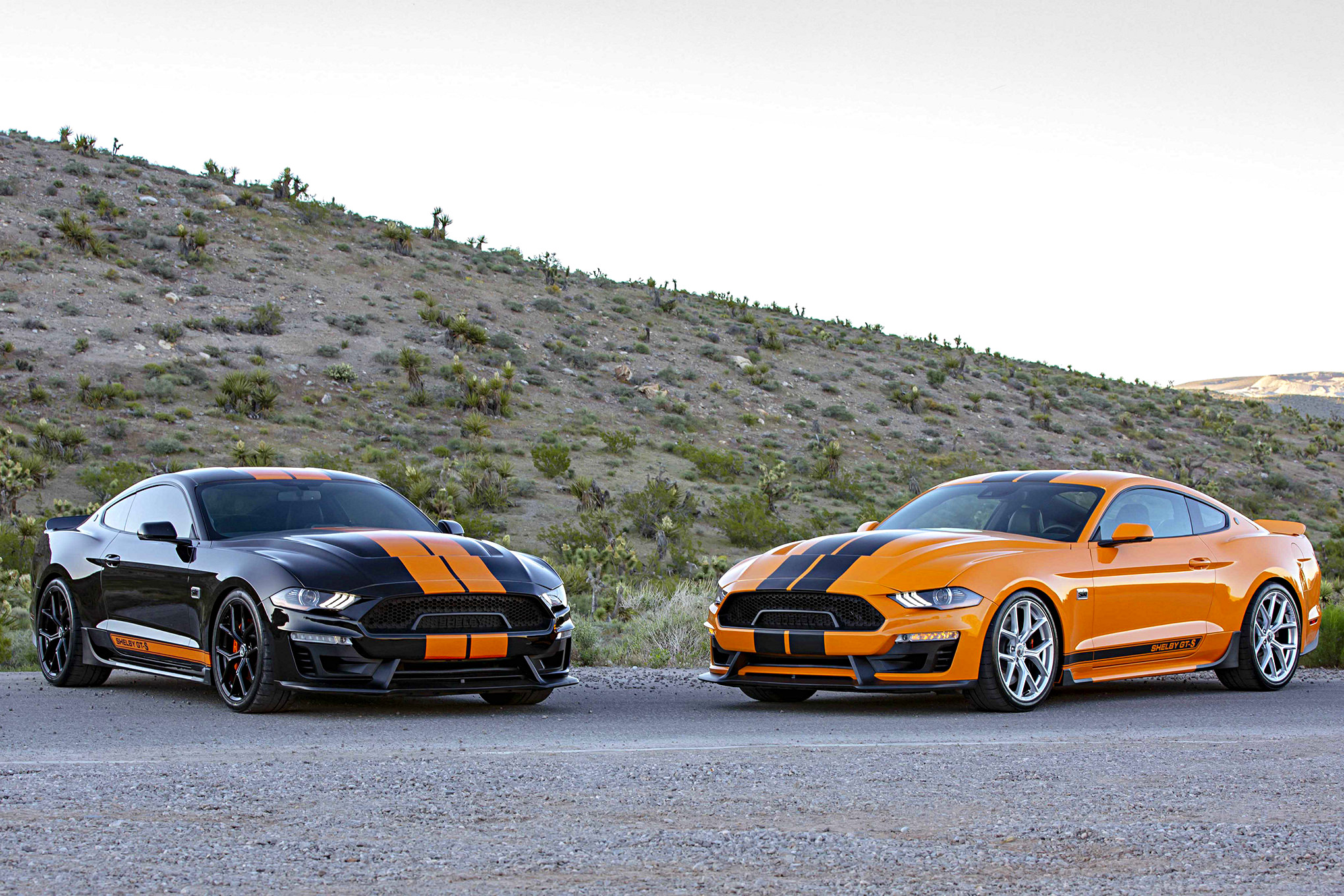 SIXT Shelby GT S Rental Car_Gallery_22134 1