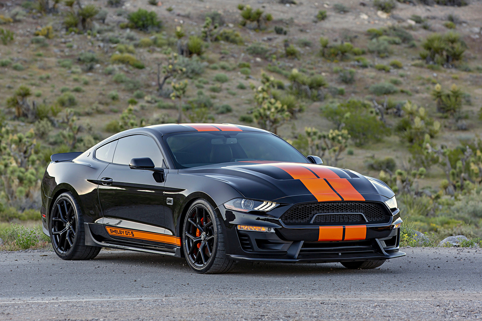 SIXT Shelby GT S Rental Car_Gallery_22142 1