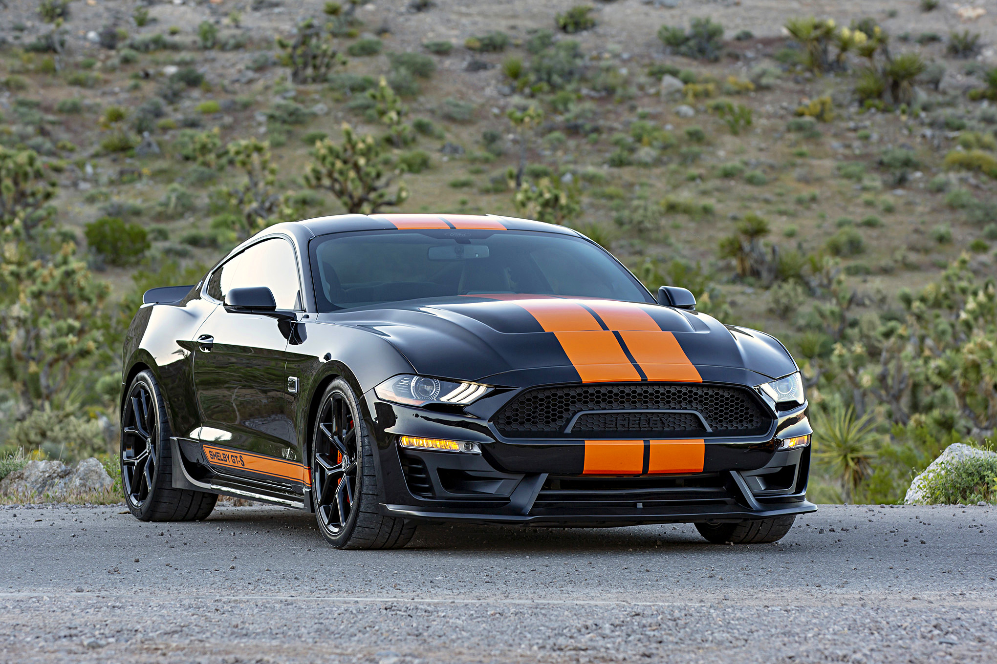 SIXT Shelby GT S Rental Car_Gallery_22154 1