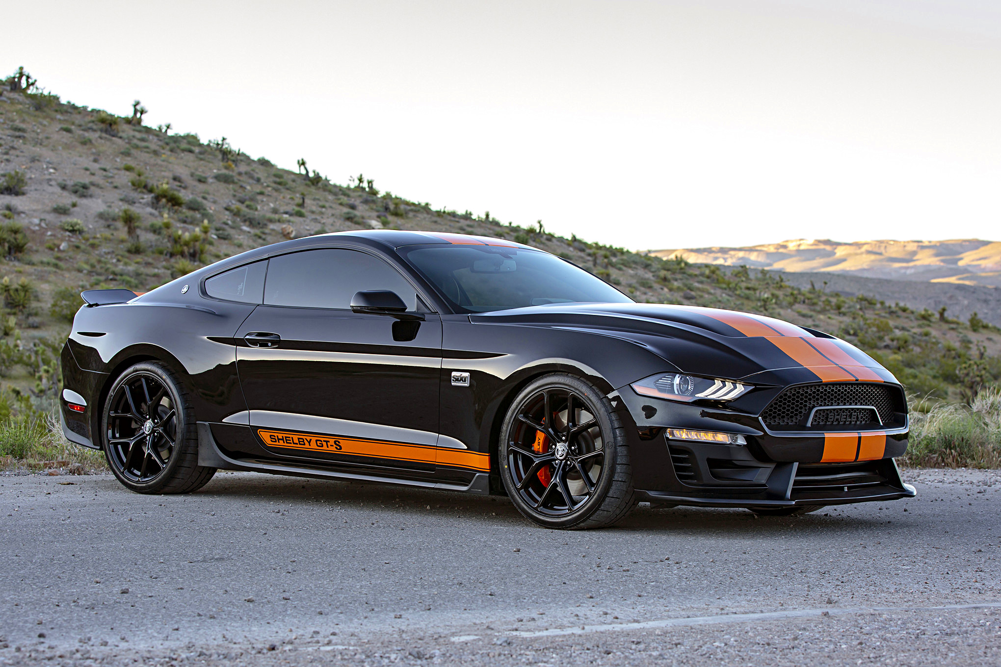 SIXT Shelby GT S Rental Car_Gallery_22163 1