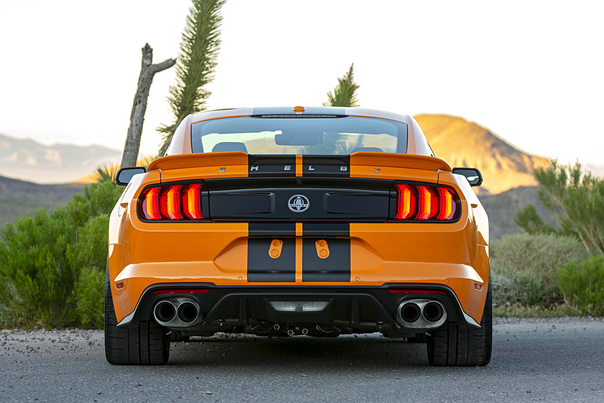 SIXT Shelby GT S Rental Car_Gallery_22164 1