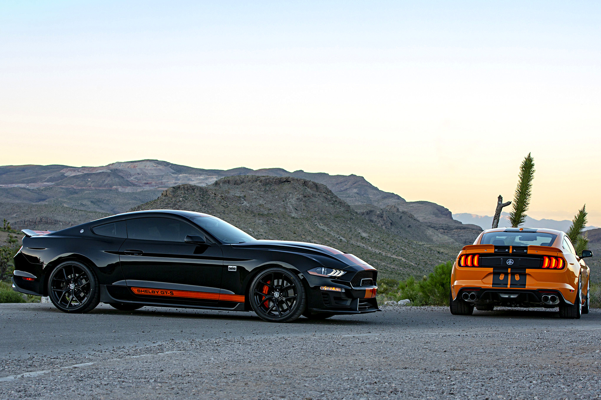 SIXT Shelby GT S Rental Car_Gallery_22198 1