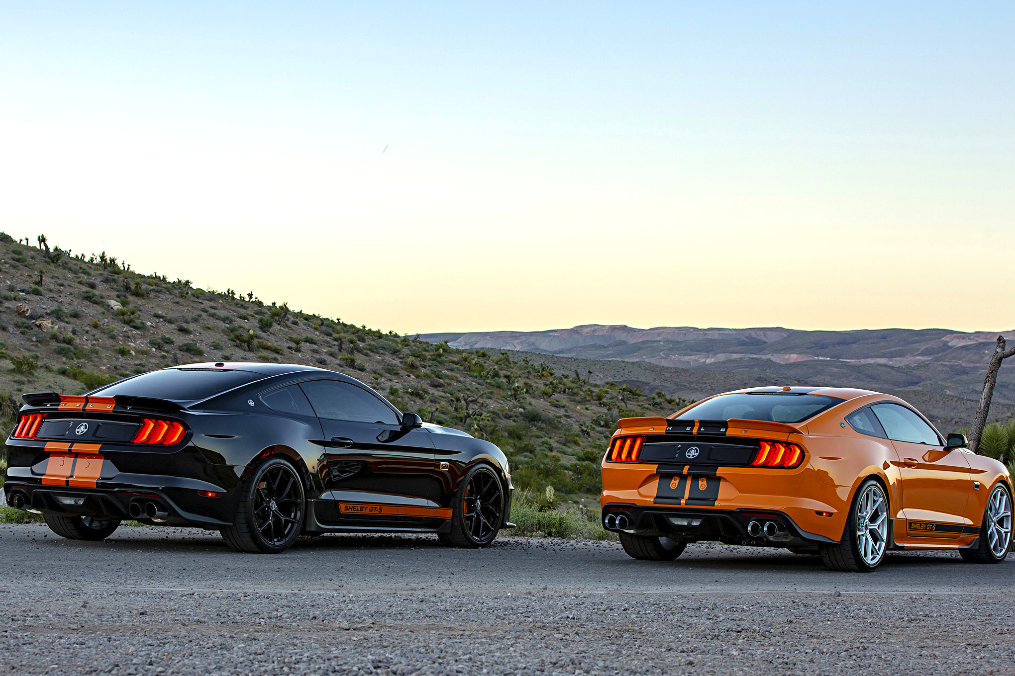 SIXT Shelby GT S Rental Car_Gallery_22203 1