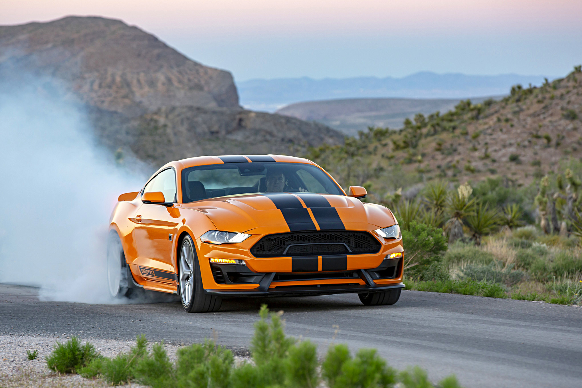 SIXT Shelby GT S Rental Car_Gallery_22222 1