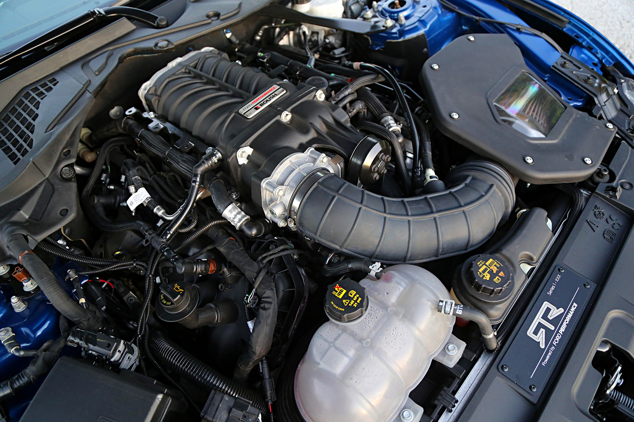 Series 1 Mustang RTR Drive Gallery 0904