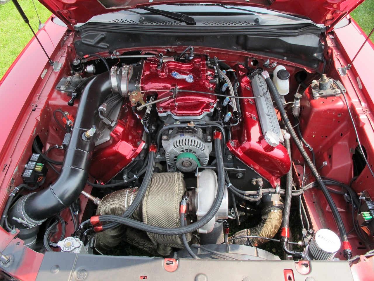 IMG_8233