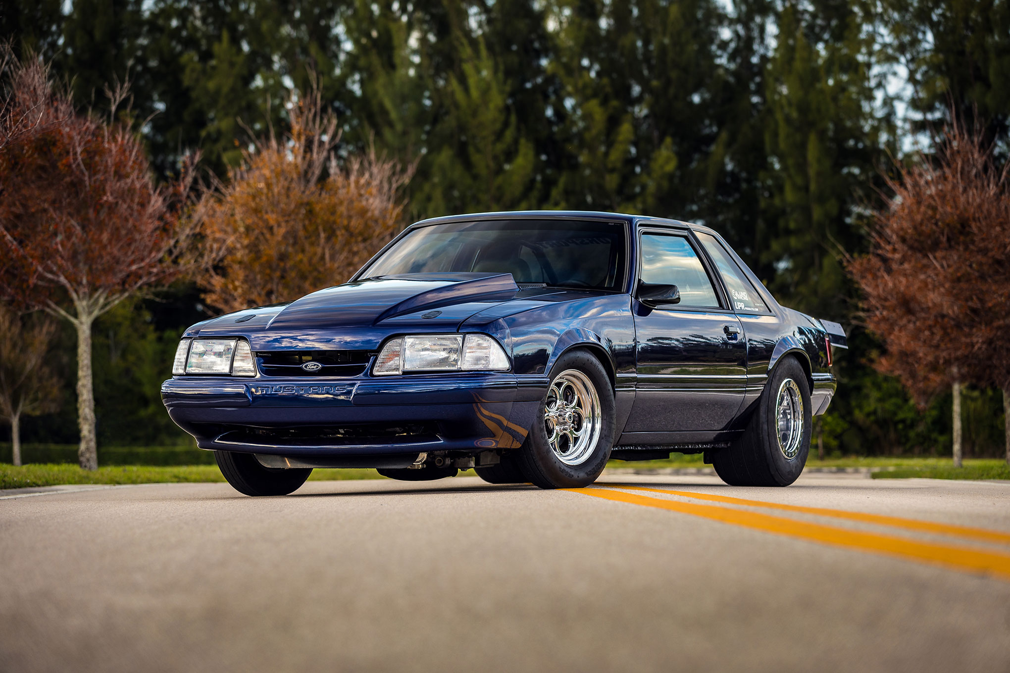 001 David Carpenter Turbo Fox