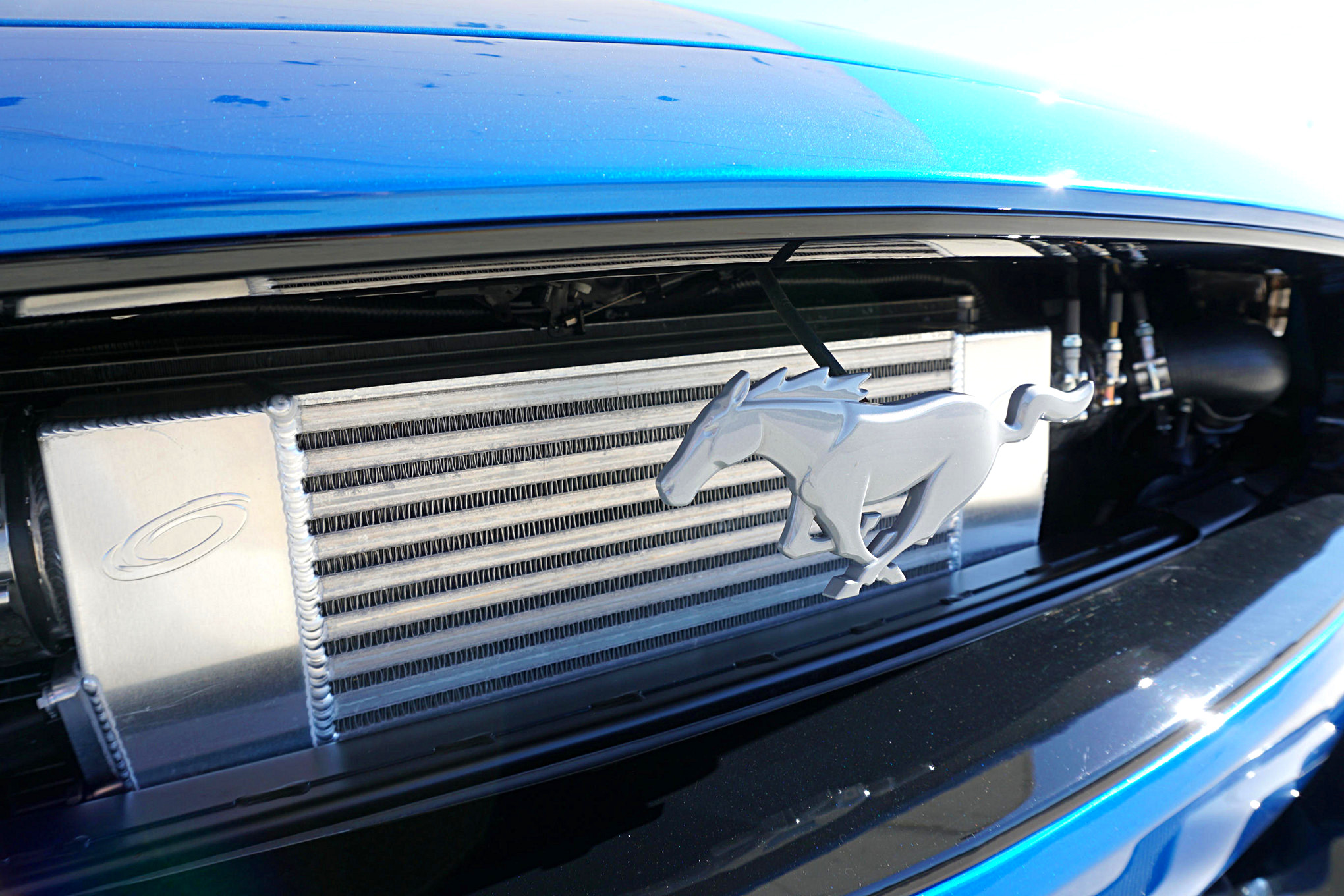 018_Muscle_Mustang_Bojix