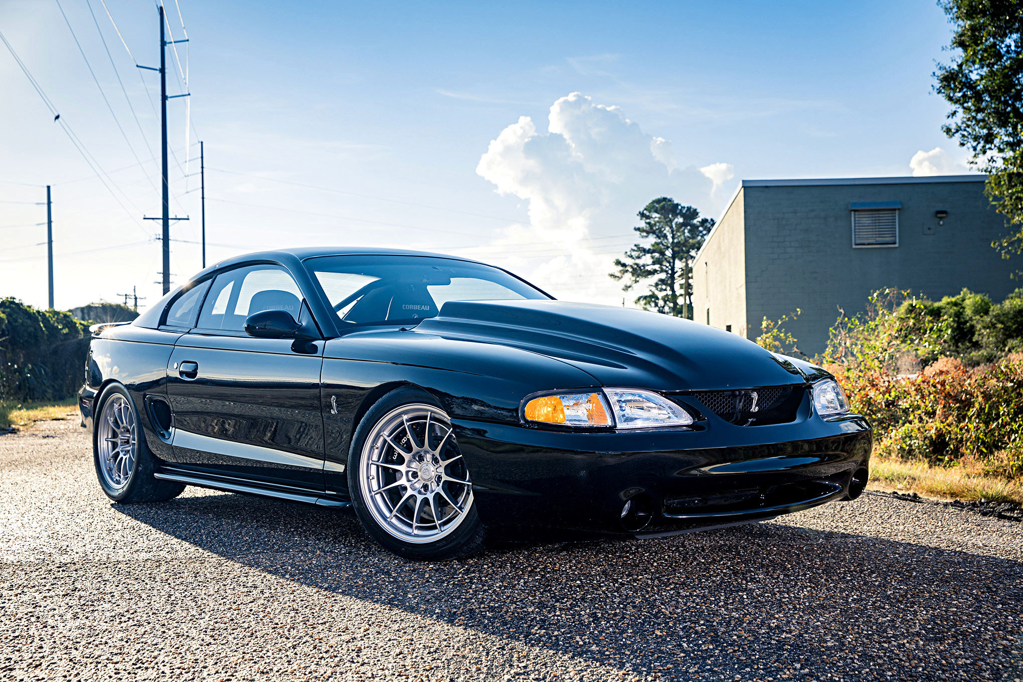 5D4_6187ed 1