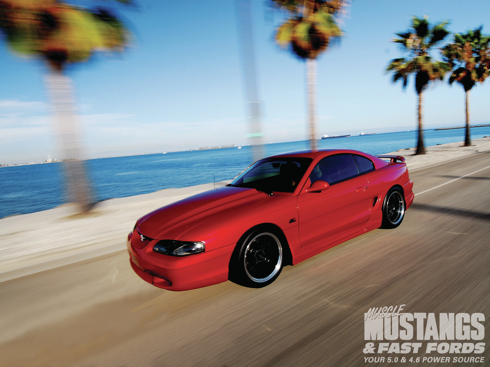 1995 Ford Mustang Gt One Wild Stallion