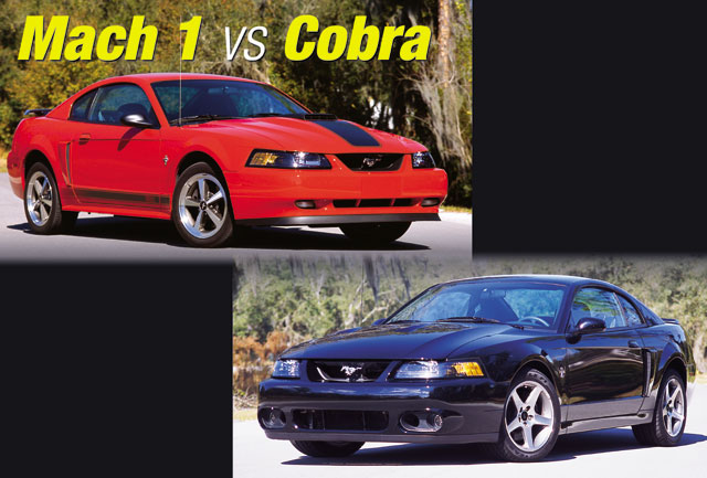 Mach 1 Vs Cobra Battle Of Baddest Mustangs Mach 1 Vs Cobra Battle Of Baddest Mustangs